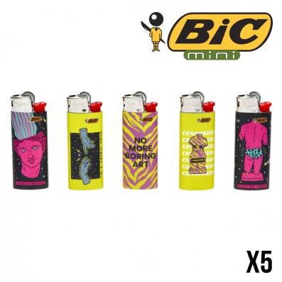 BRIQUET BIC MINI ARTSY X5