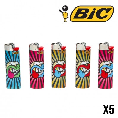 BRIQUETS BIC X BEBAR LAST SUMMER X5