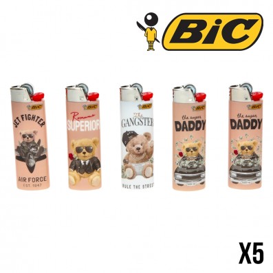 BRIQUETS BIC TEDDY 2 X5