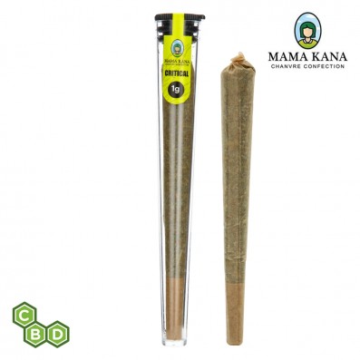 CONE PREROULE CBD MAMA KANA CRITICAL